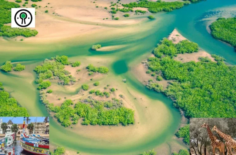Guide de voyage Sénégal : conseils essentiels pour une aventure authentique et inoubliable
