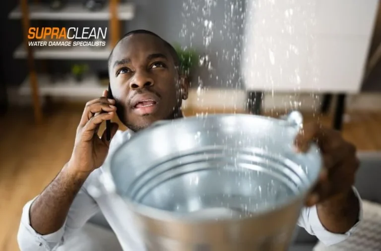 Effective Methods for Cleaning Black Mold with Bleach to Restore Your Home Safely Effective Methods for Cleaning Black Mold with Bleach to Restore Your Home Safely