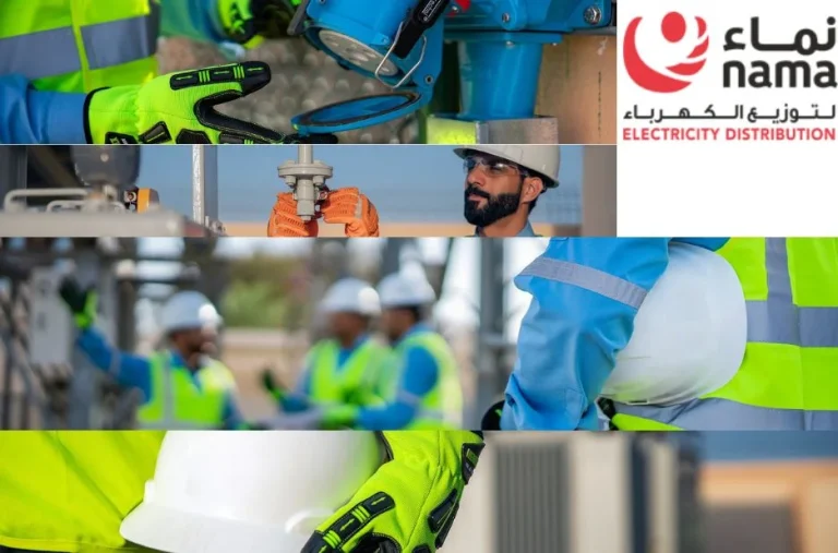 Reliable Electricity Distribution Company for Efficient and Sustainable Energy Solutions