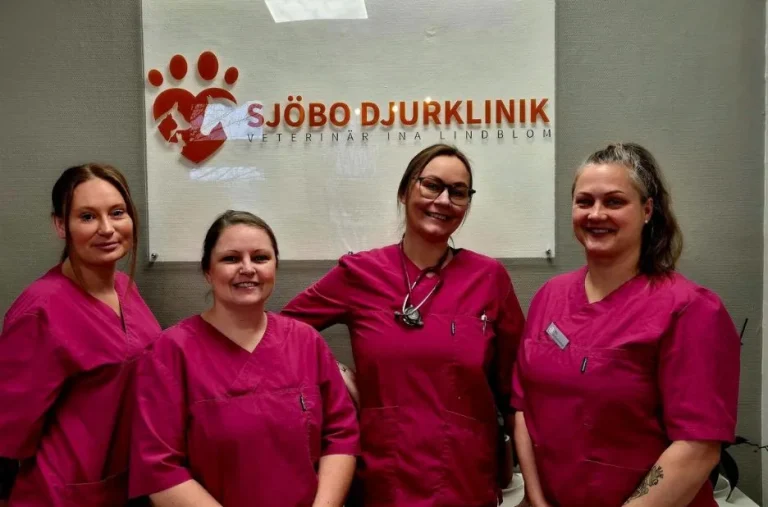 Professionell Hund Tandvård i Skurup för Optimal Hälsa och Välmående