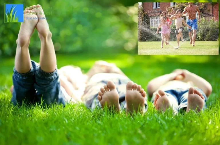 Thick Green Healthy Lawn & Pest Solutions for Vibrant and Pest-Free Yards