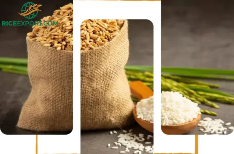 Top Long Grain Rice Bulk Supplier in Africa for Premium Quality and Competitive Prices