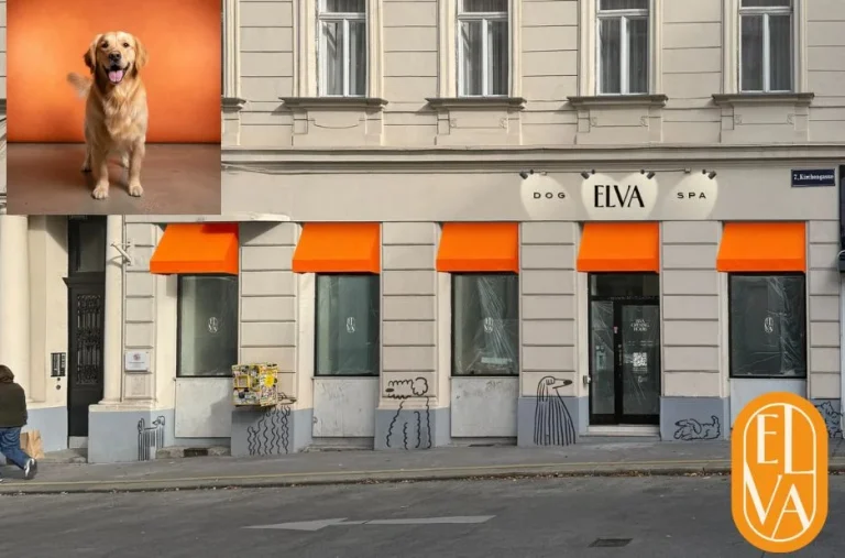 Professionelle Hundepflege in Wien für gesunde und glückliche Hunde