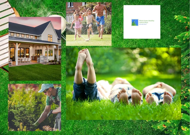 Best Time to Fertilize Your Lawn for Optimal Growth and Health Best Time to Fertilize Your Lawn for Optimal Growth and Health