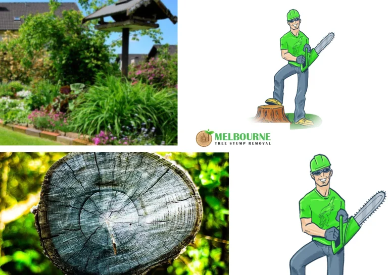 Expert Stump Removal Caroline Springs Services for Clean and Safe Outdoor Spaces
