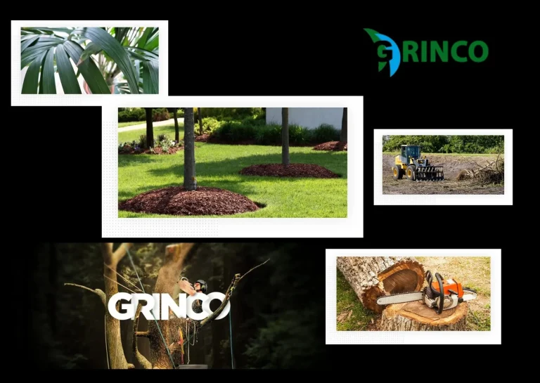 Professional Tree Removal Deer Park Services for Safe and Efficient Property Care Professional Tree Removal Deer Park Services for Safe and Efficient Property Care