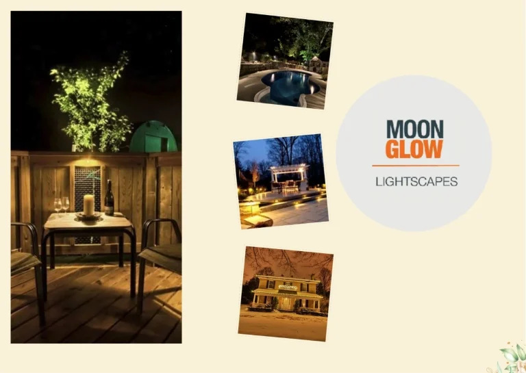 Enhance Your Outdoor Space with Stylish and Durable Path Lighting Solutions