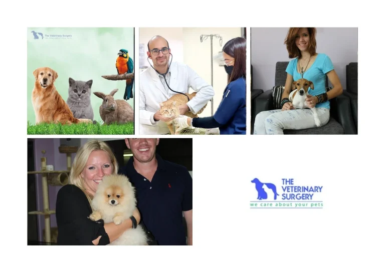 Trusted Doha Vets Qatar for Expert Pet Care and Wellness Services