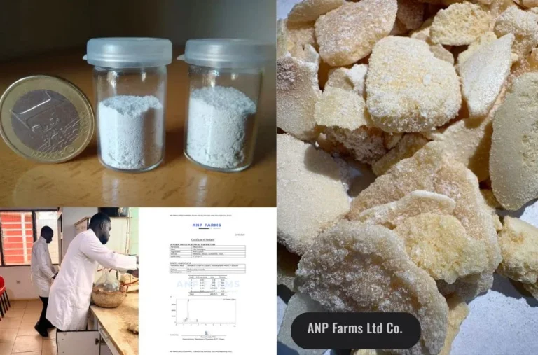 Comparing ANP Farms Ltd Co with Top Botanical Raw Material Suppliers for Research and Extraction Needs Comparing ANP Farms Ltd Co with Top Botanical Raw Material Suppliers for Research and Extraction Needs
