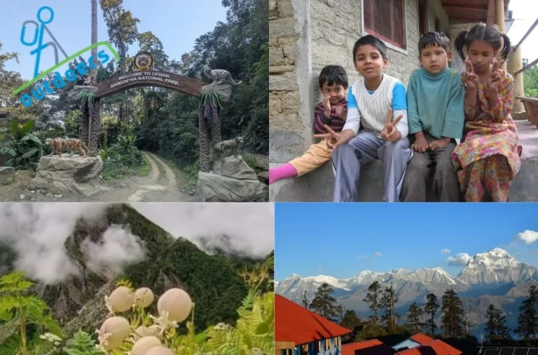 Discover Tranquil Trails and Stunning Views on Binsar Walks for Nature Lovers