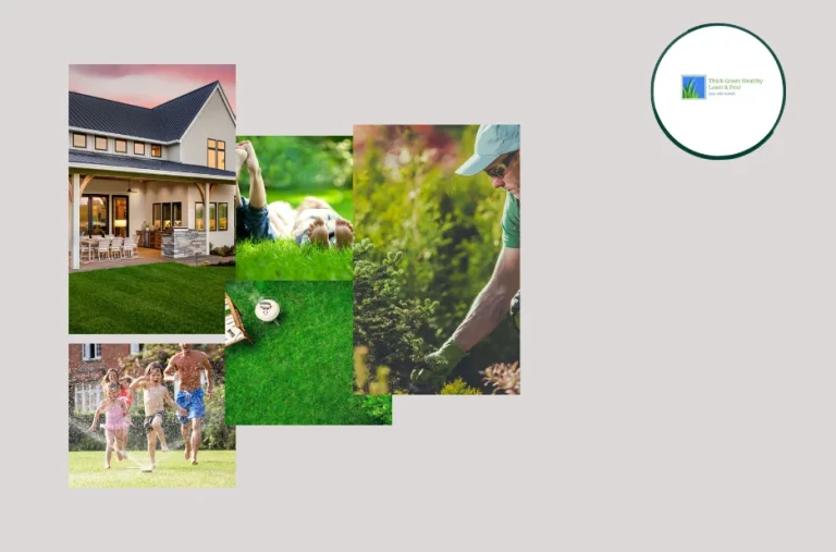 Expert Lawn Care Services in Converse TX for a Lush and Healthy Yard Expert Lawn Care Services in Converse TX for a Lush and Healthy Yard