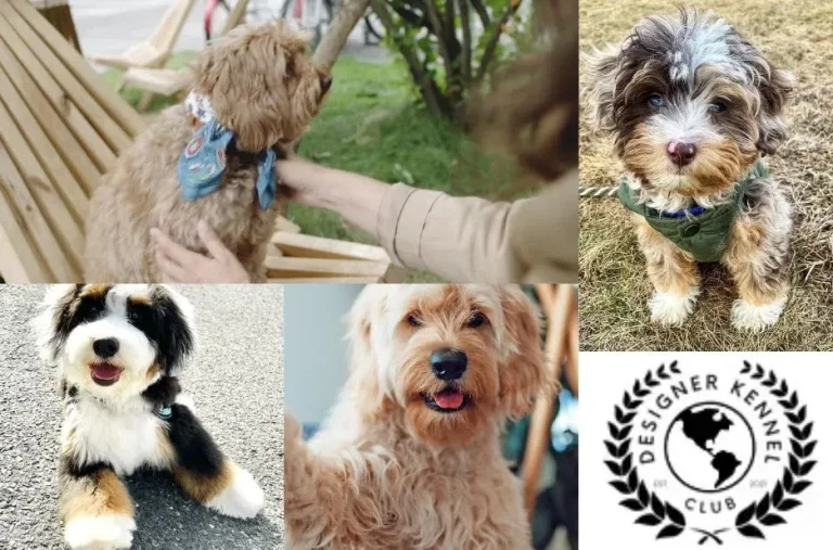 Practical Guide to Litter Registration for Responsible Breeders