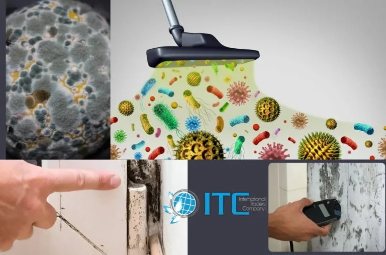 Effective Residential Mould Treatment Services in Noosa Heads: A Practical Homeowner’s Guide Effective Residential Mould Treatment Services in Noosa Heads: A Practical Homeowner’s Guide