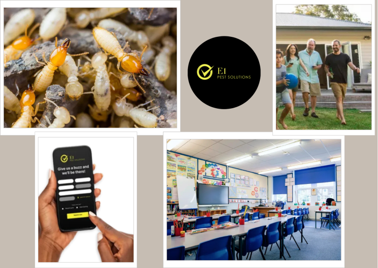 Ant Control Sydney: Practical Solutions from E1 Pest Solutions for Lasting Results