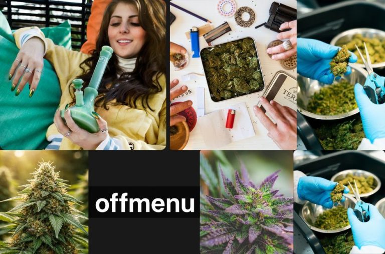 Top Disposable Vape Collections in Canada for Easy Online Shopping at Offmenu Top Disposable Vape Collections in Canada for Easy Online Shopping at Offmenu