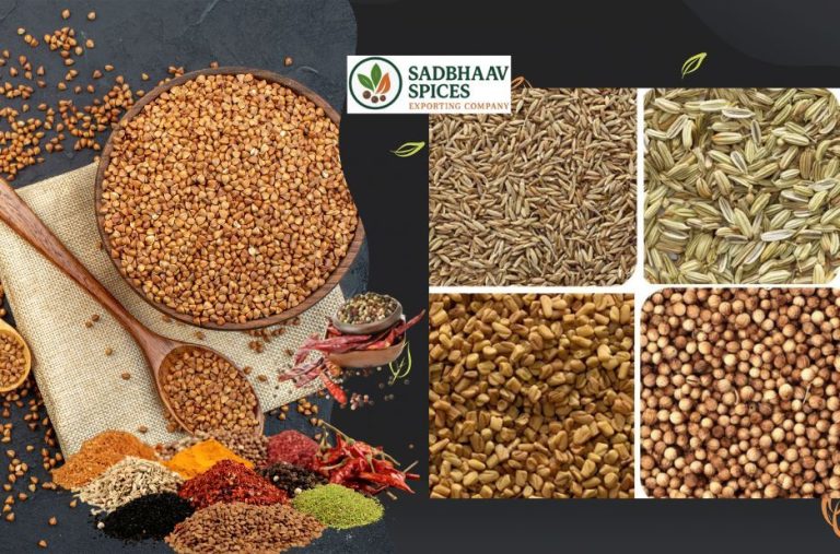 Fennel Seeds Exporter for Global Buyers | Sadbhaav Global Impexx Llp Fennel Seeds Exporter for Global Buyers | Sadbhaav Global Impexx Llp