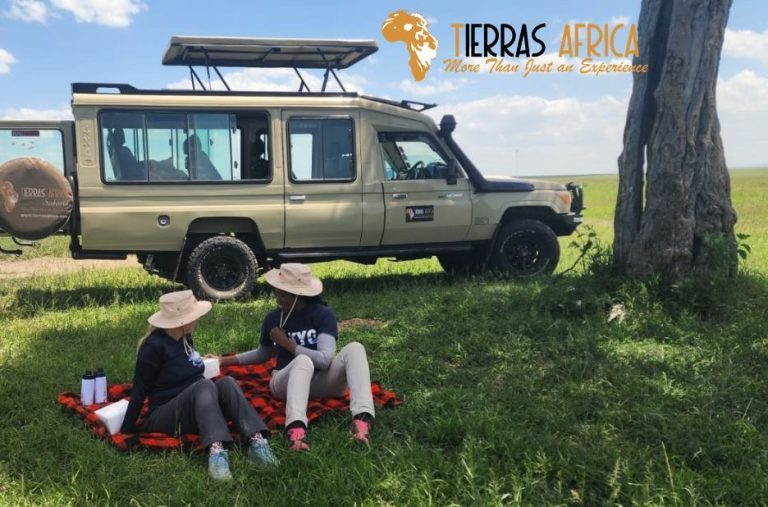 Amboseli National Park Safari: Elephant Encounters and Kilimanjaro Views