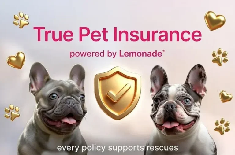 True Panion Pet Insurance Review Checklist for Coverage, Costs, and Claims