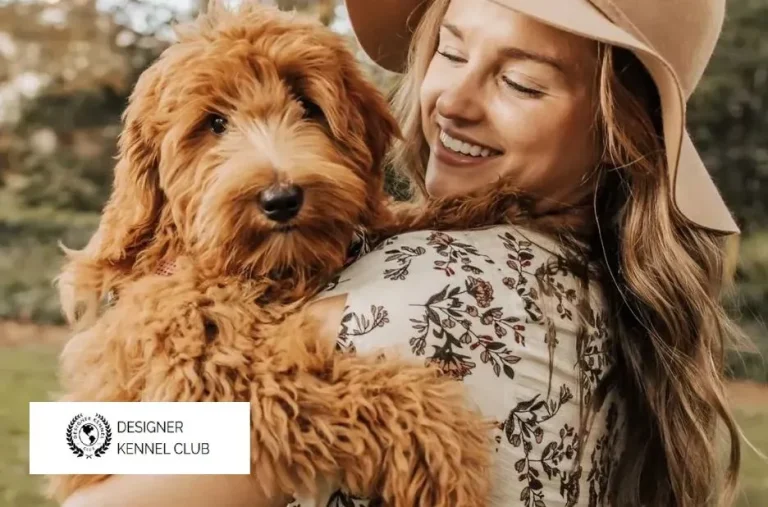 CKC Registration Checklist: Steps for Designer Kennel Club Guest Posts