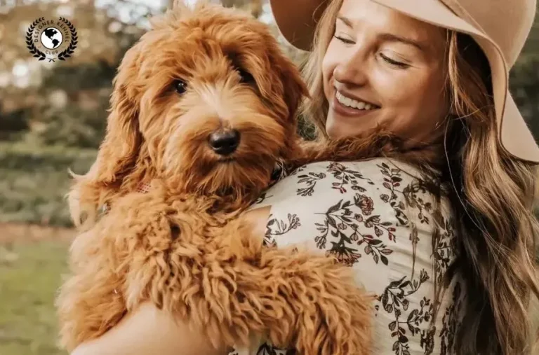 How to Get Papers for Your Dog: Expert Advice from Designer Kennel Club