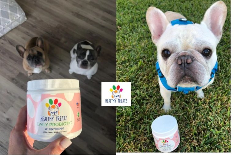 How Probiotic Dog Treats Support Gut Health and Healthy Digestion How Probiotic Dog Treats Support Gut Health and Healthy Digestion