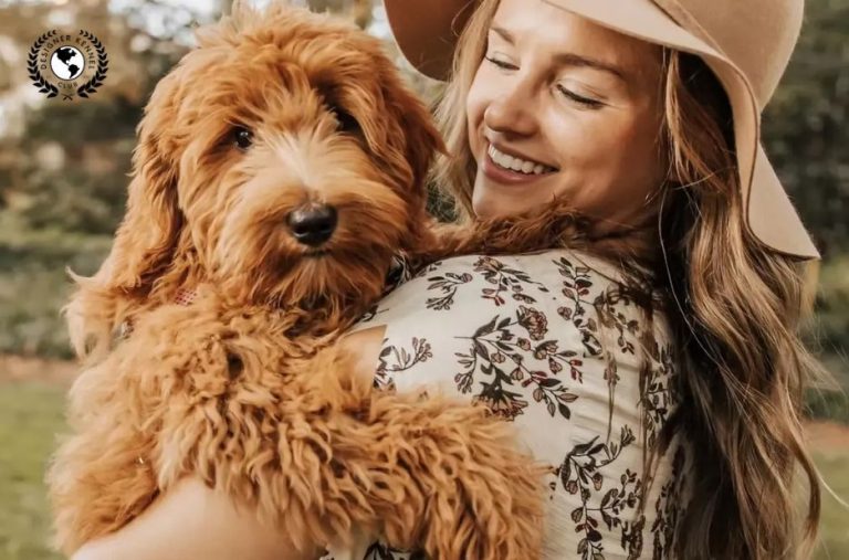 How to Get Papers for a Dog Without Papers: Registration and Trustworthy Steps