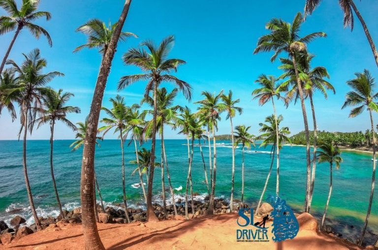 Best Sri Lanka Tours Checklist: Choose the Right Local Driver with Sldriver.com Best Sri Lanka Tours Checklist: Choose the Right Local Driver with Sldriver.com
