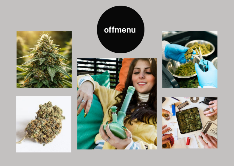 Discover Mushroom Tea Collections in Canada by Offmenu
