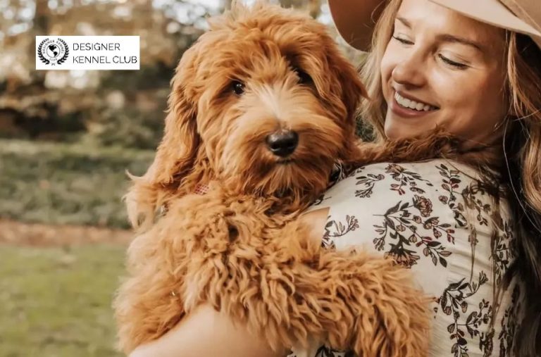 How to Get Papers for a Dog Without Papers: Options, Steps, and Key Benefits