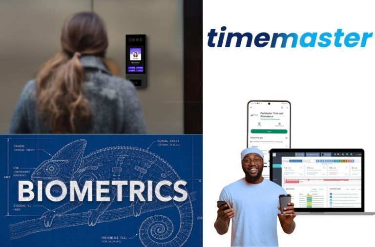 Best Compliance and Labor Law Tools for South African Businesses by TimeMaster