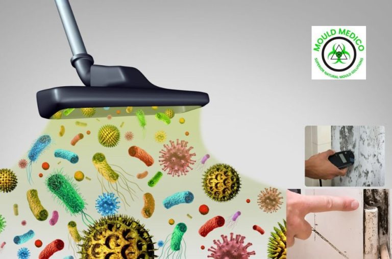 How to Choose Mould Spore Analysis Reports on the Sunshine Coast