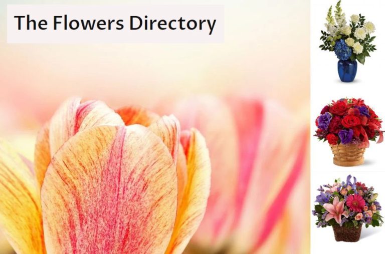 Same Day Flowers Delivered: Practical Steps to Choose a Local Florist and Order Same Day Flowers Delivered: Practical Steps to Choose a Local Florist and Order