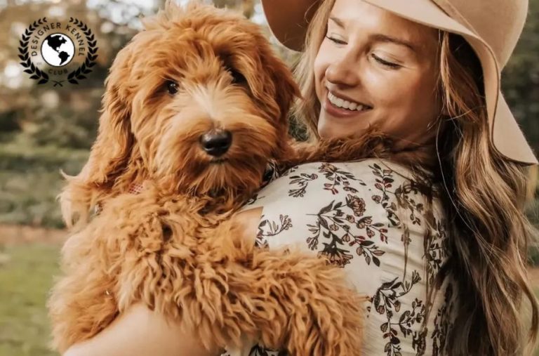 How to Get Official Papers for a Dog Without Papers: Expert Steps and Options How to Get Official Papers for a Dog Without Papers: Expert Steps and Options