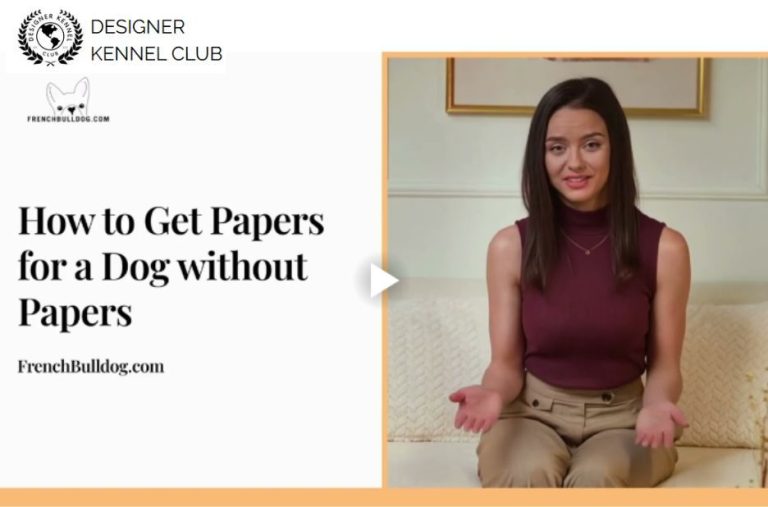 Get Dog Papers Without AKC: Practical Paths & Steps