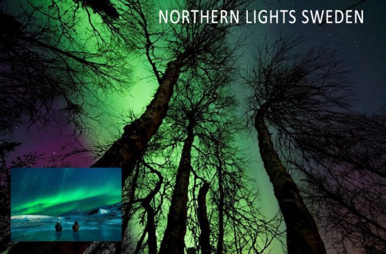 Trust-First Northern Lights Tour in Sweden for Unforgettable Nights